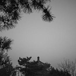 《WWE 2K22》明年1月关闭服务器 之后或将下架